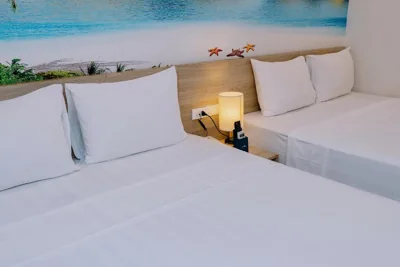 带景观双床房 — Cat Ba Violet Hotel and Apartment
